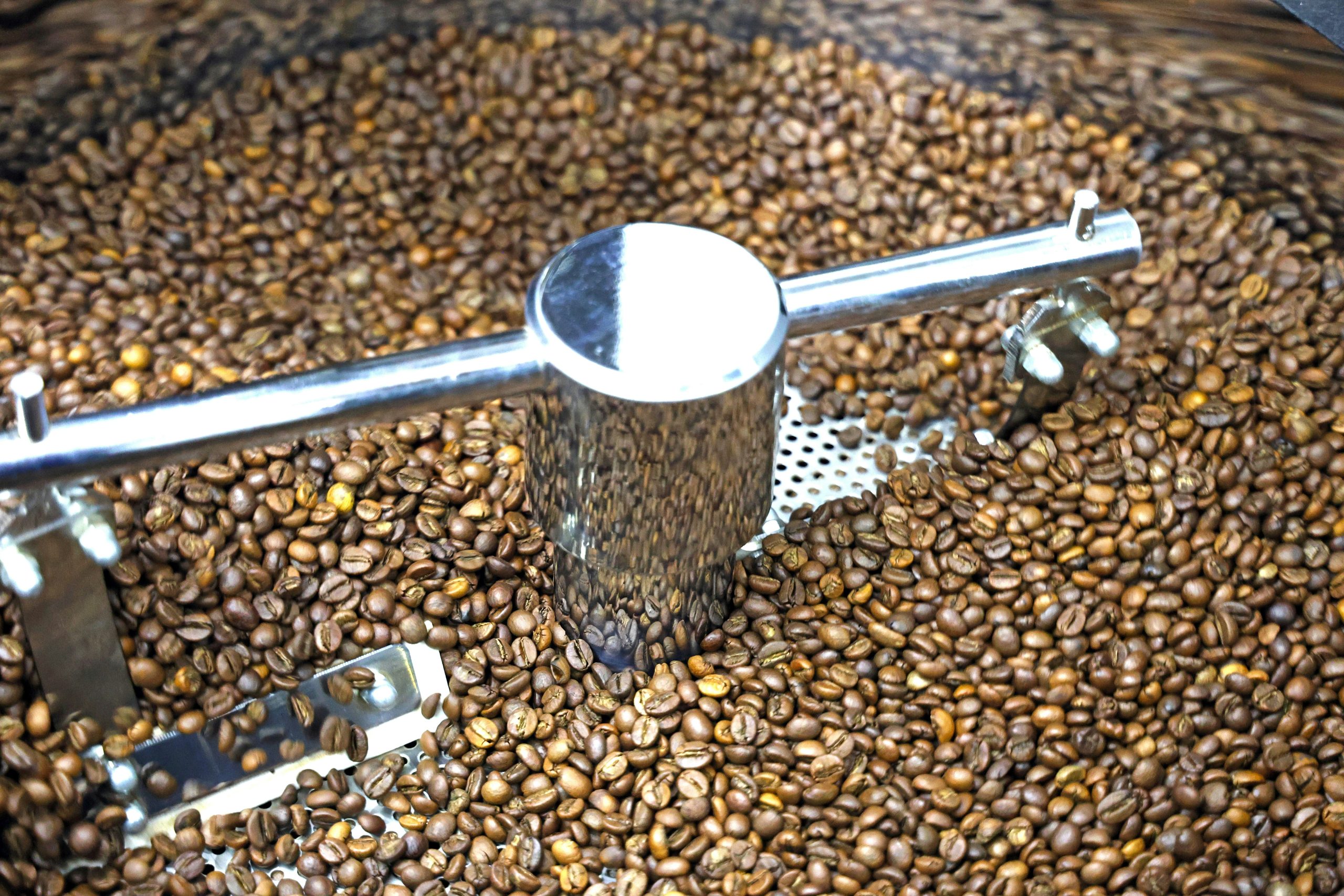 Coffee beans in a metal roasting cooling tray